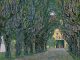 Gustav Klimt Attersee, Gustav Klimt, Allee im Park vor Schloss Kammer